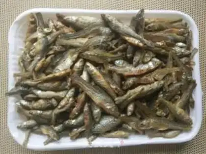 Make They used to fire riverfish step 0