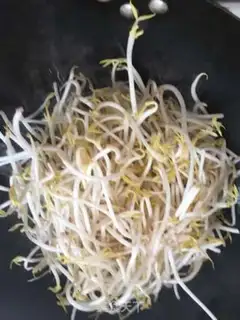 Make Green bean sprouts step 2