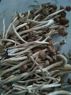 Make Tea mushrooms step 0
