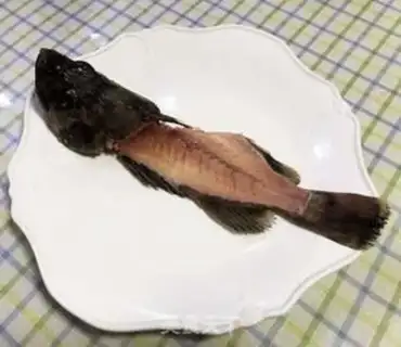 Make Blackfish step 5