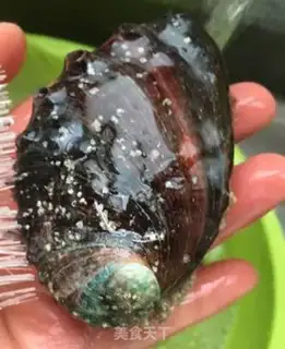 Make The original abalone step 1