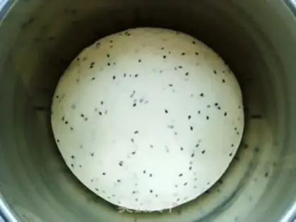 Make Black Sesame Cube toast step 6