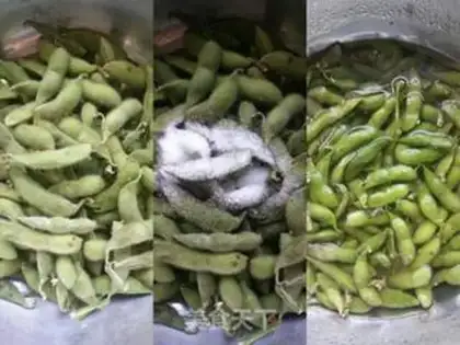 Make Salt-water beans step 0