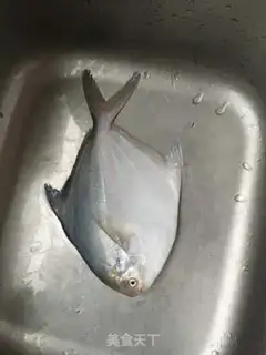 Make The sugary silverfish step 0