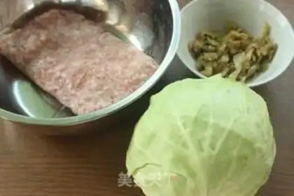 Make Snack dumplings step 0