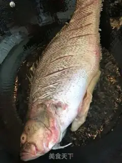 Make Dry-burned bass step 0