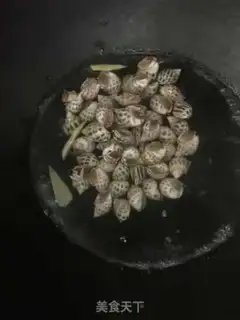 Make The white snail step 4