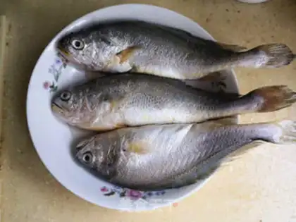 Make Jealousy yellowfish step 0