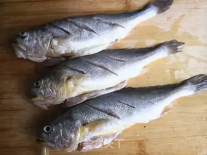 Make Jealousy yellowfish step 1