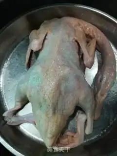 Make Duck step 6