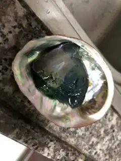 Make Abalone chicken soup step 4