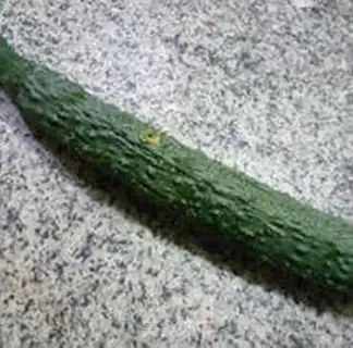 Make A cucumber with a pig