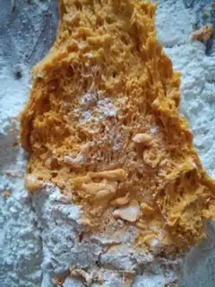 Make Pumpkin step 0