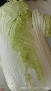 Make Big cabbage stew step 0