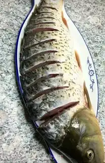 Make Carp
