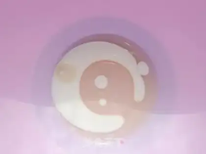 Make Fruit pie step 0