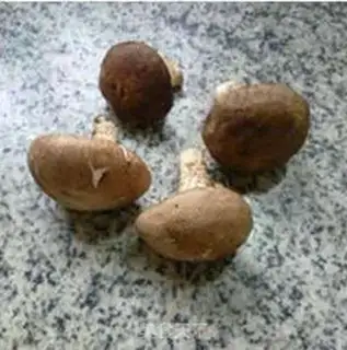 Make Mushroom fried cucumbers step 1