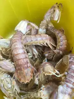Make Spicy shrimp step 0