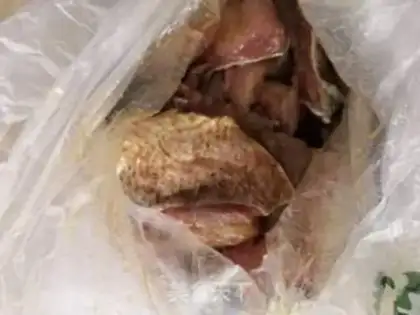 Make Homemade fish step 0