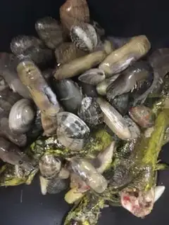 Make A pot of fresh seafood step 4