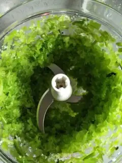 Make Celery steam step 8