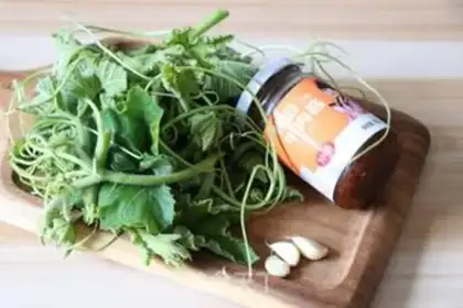 Make Beef sauce for pumpkin vines step 0
