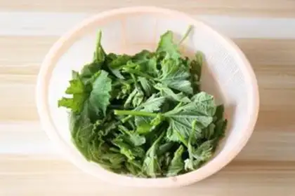 Make Beef sauce for pumpkin vines step 1