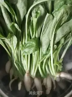Make Spicy radish step 0