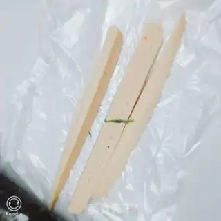 Make The veggies step 1