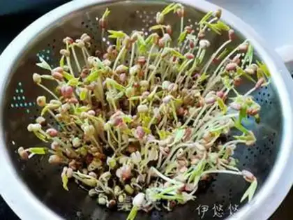 Make Homemade green bean buds step 5