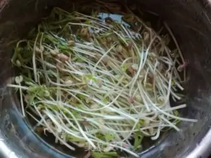 Make Homemade green bean buds step 7