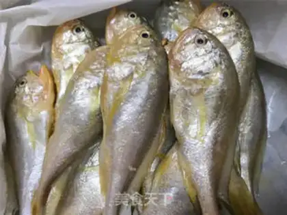 Make Plumfish step 0