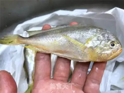 Make Plumfish step 1