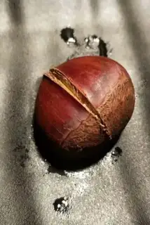 Make Baked chestnuts step 1