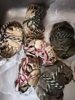 Make Crabs step 0
