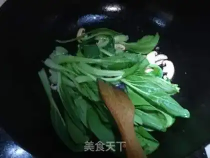 Make Mushroom oil step 7