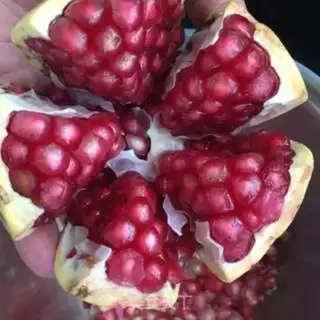 Make Fresh pomegranate juice step 0