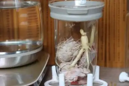 Make The ginseng rib soup step 3