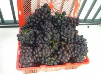 Make Wine step 4