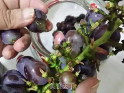 Make Wine step 5