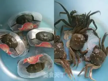 Make Spicy crabs step 0