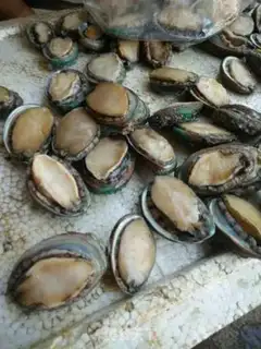 Make Water the abalone step 0