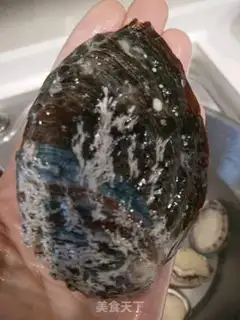 Make Water the abalone step 2