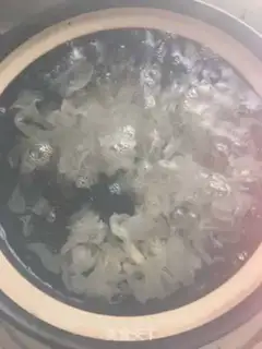 Make Silver gills and chords step 3