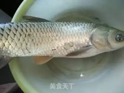 Make Fish step 0
