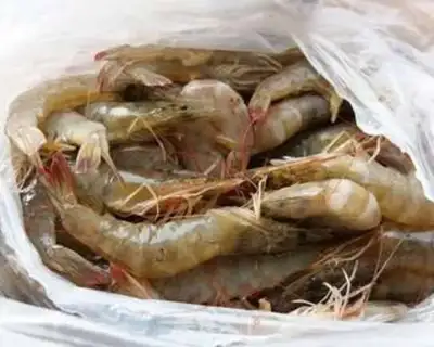 Make Crystal shrimp dumplings step 0