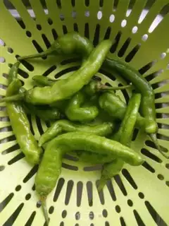 Make Paprika step 0