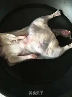 Make Old duck step 2