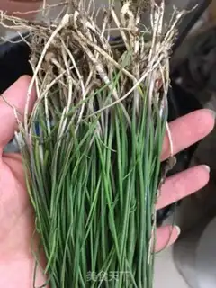 Make Wild onions step 0