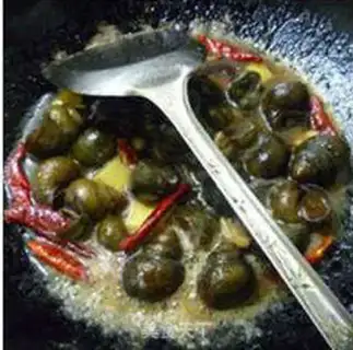 Make The snail step 9